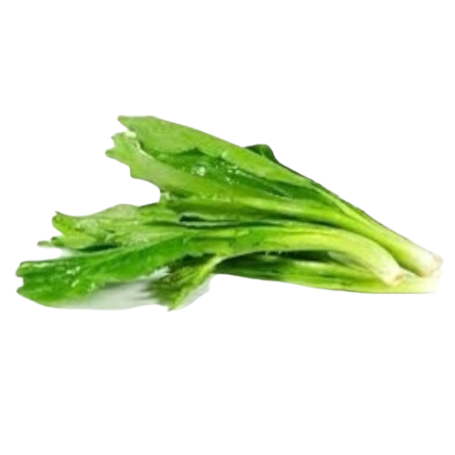 Mexikanischer Koriander Thailand 100g (Mùi tàu)