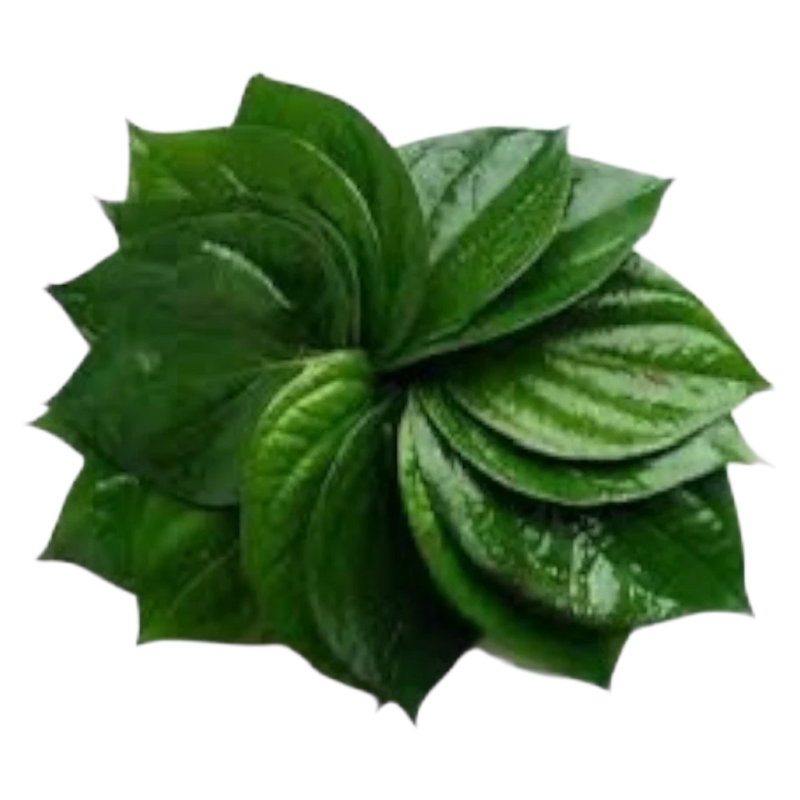 Vietnamesisches Pfefferblatt-La Lot 100g